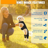 Une femme tient un chiot de golden retriever portant une genouillère noire pour le soutien articulaire.