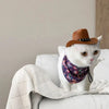 Adjustable Pet Cowboy Hat for Small Dogs and Cats