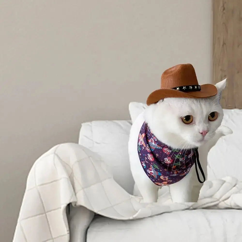 Adjustable Pet Cowboy Hat for Small Dogs and Cats