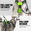 Rechargeable LED Dog Harness with 3 Light Modes for Night Safety