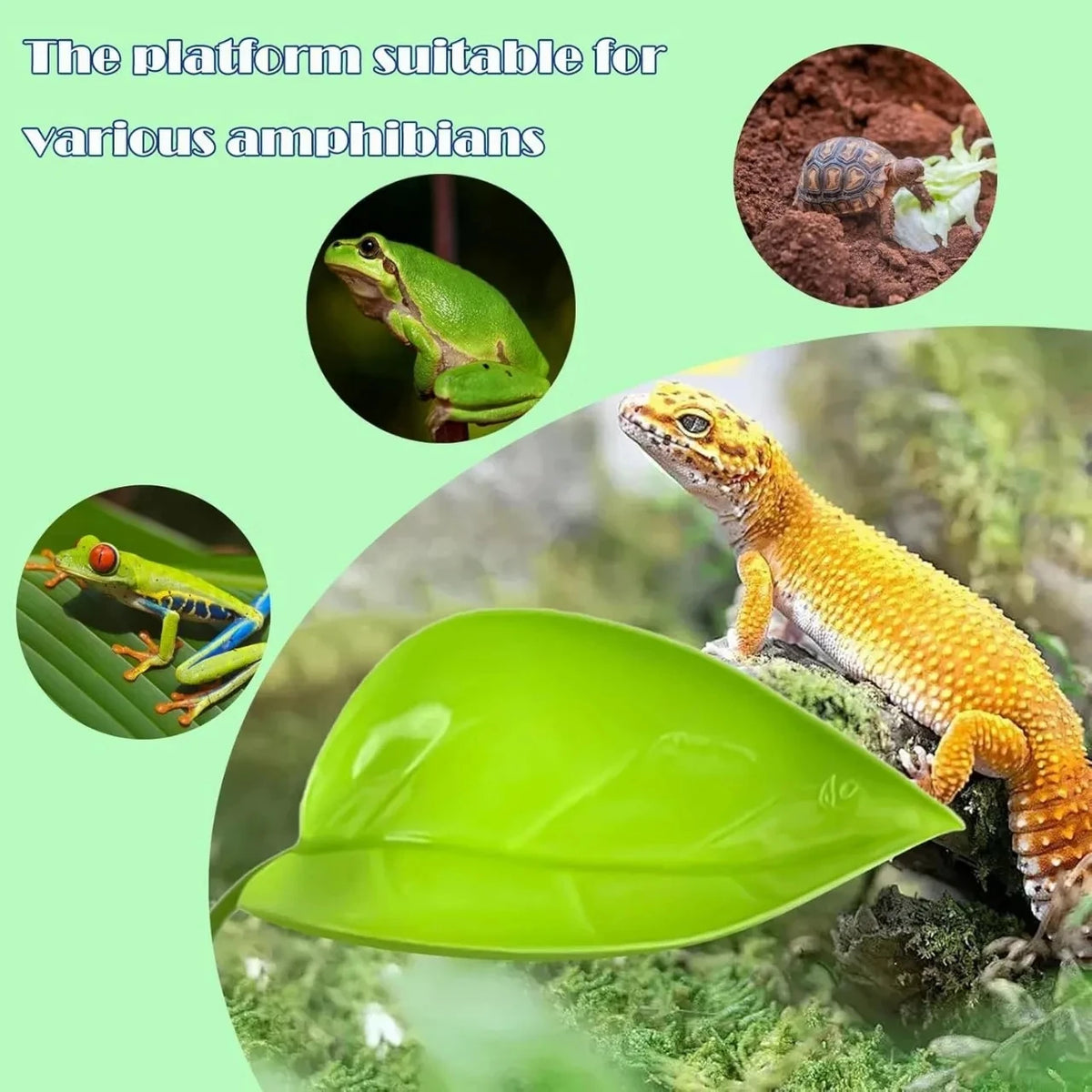 Reptile Basking Leaf Platform with Suction Cup