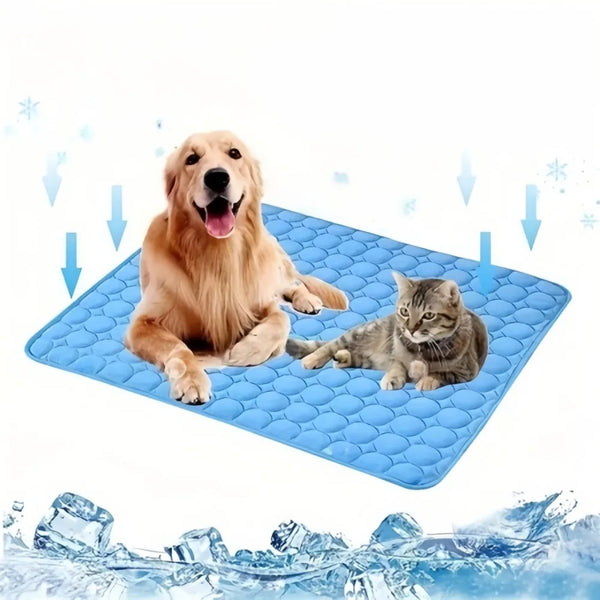 Un golden retriever y un gato atigrado descansando en una estera de enfriamiento azul para mascotas con efectos de hielo a su