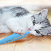 Cat Teeth Brushing Toy: Fish-Shaped Silicone Chew Toy
