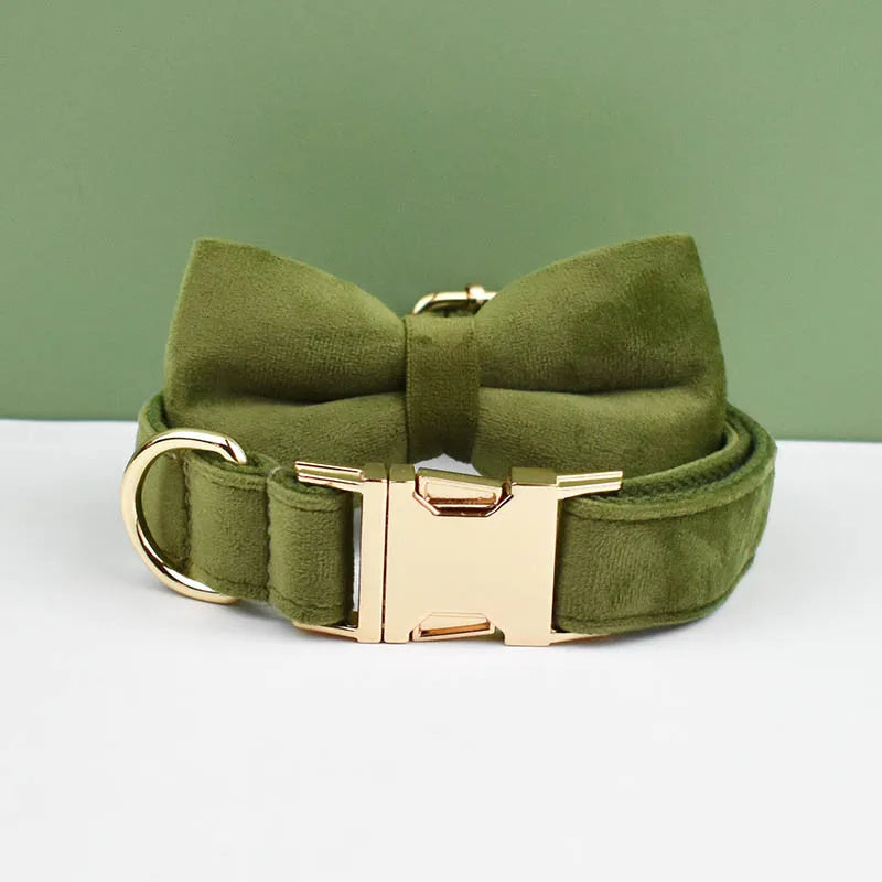 Set de collar, correa y arnés para perro de terciopelo verde oliva con herrajes dorados.