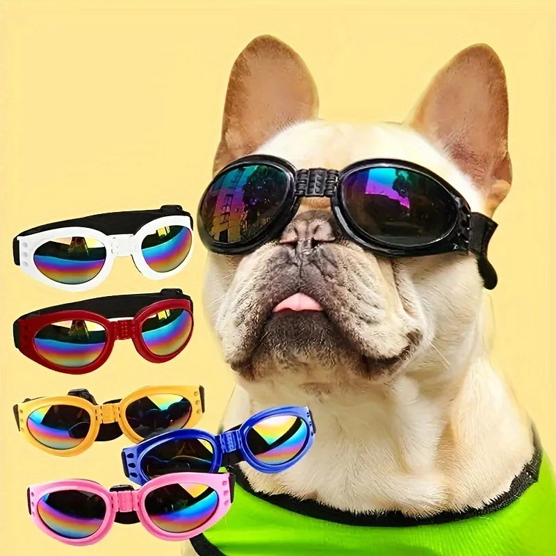 A light-colored dog wearing black and colored sunglasses with adjustable straps.