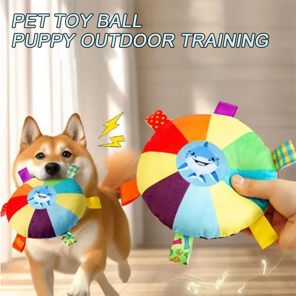 A hand holds a colorful plush dog ball toy for puppy outdoor training.