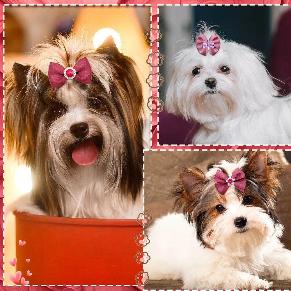 Pearl Puppy Bows with Rubber Bands for Small Dogs and Cats
