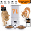 A white smart pet feeder with an HD camera is shown next to a cat and two stainless steel bowls of dry food.