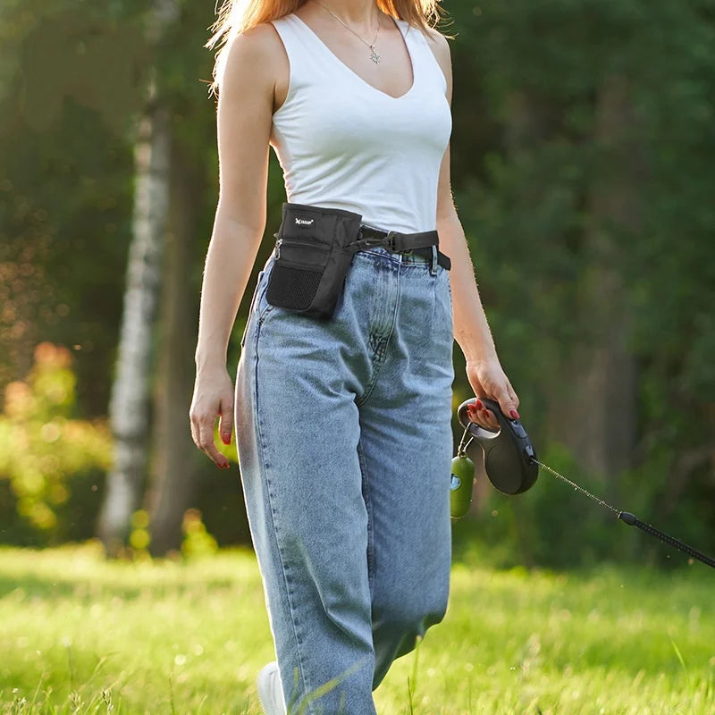 Outdoor Portable Dog Training Snack Bag - Large Capacity Waist Bag