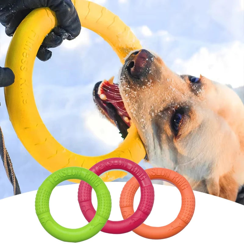 Anneau d'entraînement et disque volant en caoutchouc durable pour chien