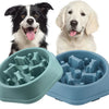 Cuenco Slow Feeder para Perros