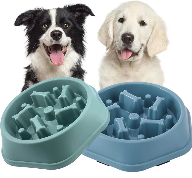 Cuenco Slow Feeder para Perros