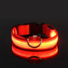 LED-Sicherheits-Hundeleine und Halsband-Set