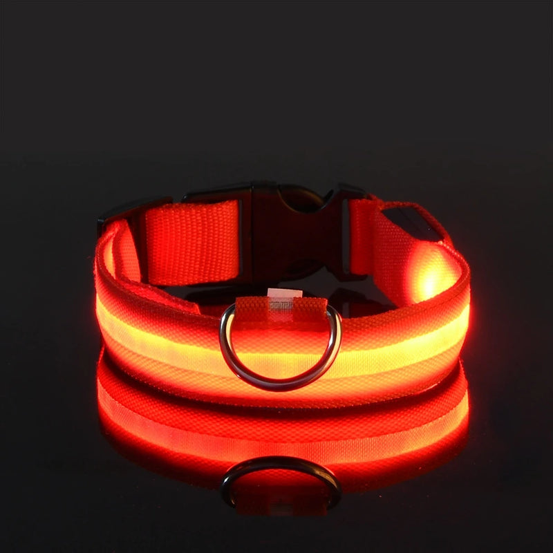 LED-Sicherheits-Hundeleine und Halsband-Set