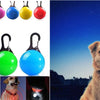 USB Rechargeable Luminous Collar for Dogs and Cats