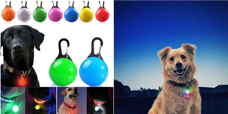 USB Rechargeable Luminous Collar for Dogs and Cats