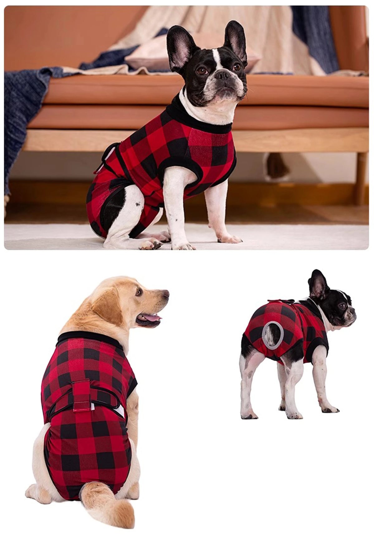 A British Bulldog wearing a red and black plaid dog suit sitting on a couch.