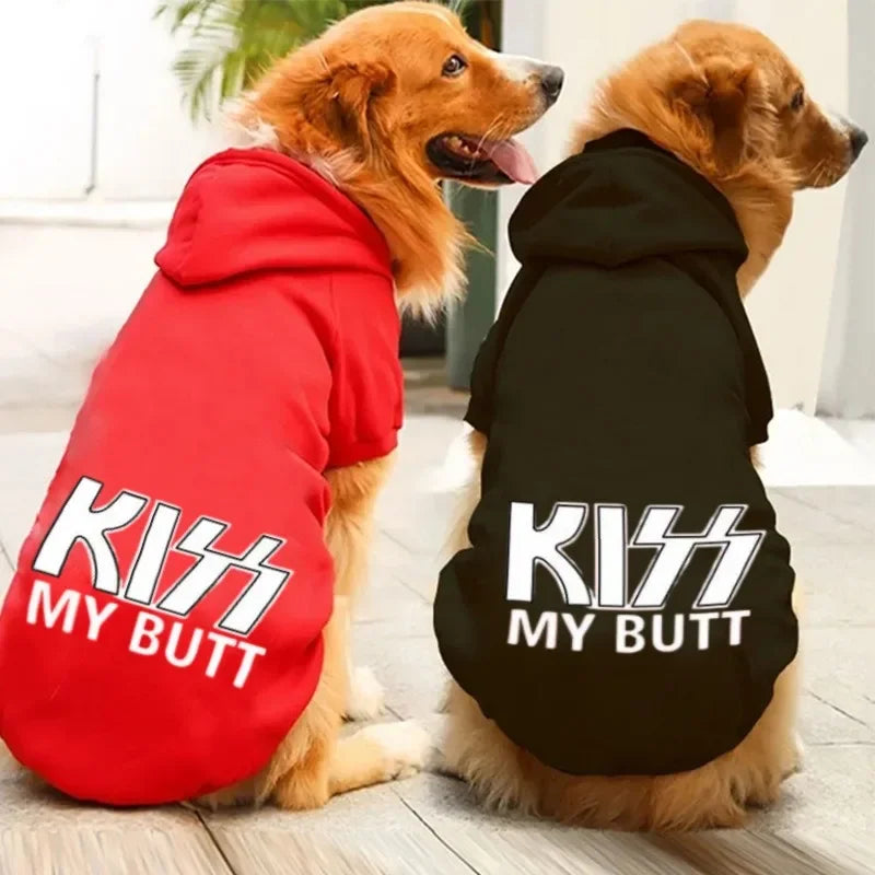 Deux chiots Golden Retriever portant des sweats noirs et rouges avec l'inscription KISS MY BUTT