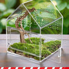 A clear acrylic reptile breeding box featuring a naturalistic landscape and a small tree branch.