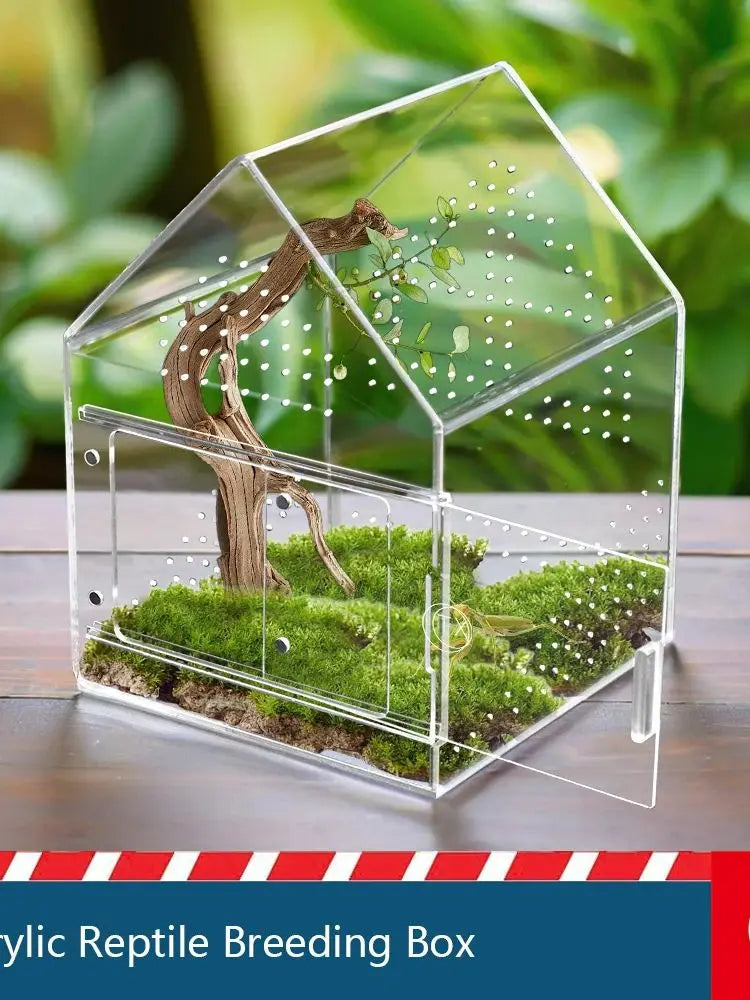 A clear acrylic reptile breeding box featuring a naturalistic landscape and a small tree branch.