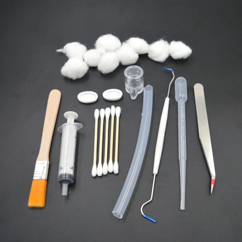 Kit de démarrage pour fourmilière avec abreuvoir et outils