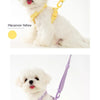 Macaroon Reflektierendes Hundegeschirr & Leinen-Set