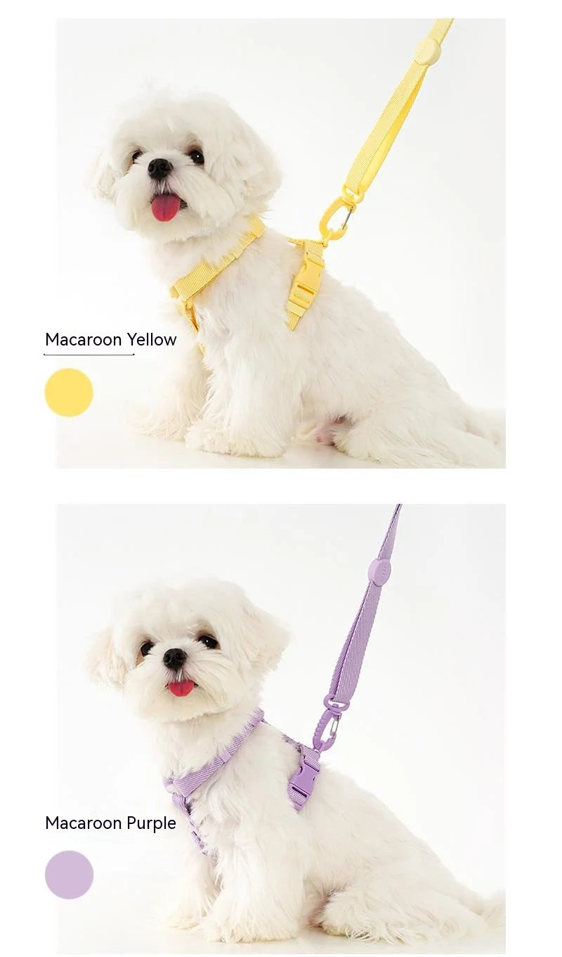 Macaroon Reflektierendes Hundegeschirr & Leinen-Set