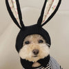 Cozy Knitted Rabbit Ears Pet Hat