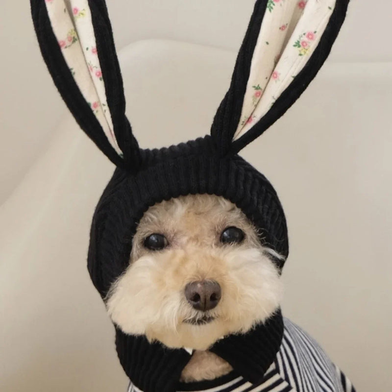 Cozy Knitted Rabbit Ears Pet Hat