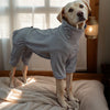 Cozy High-Collar Dog Pajamas – Four-Legged Sleepwear for Large Breeds