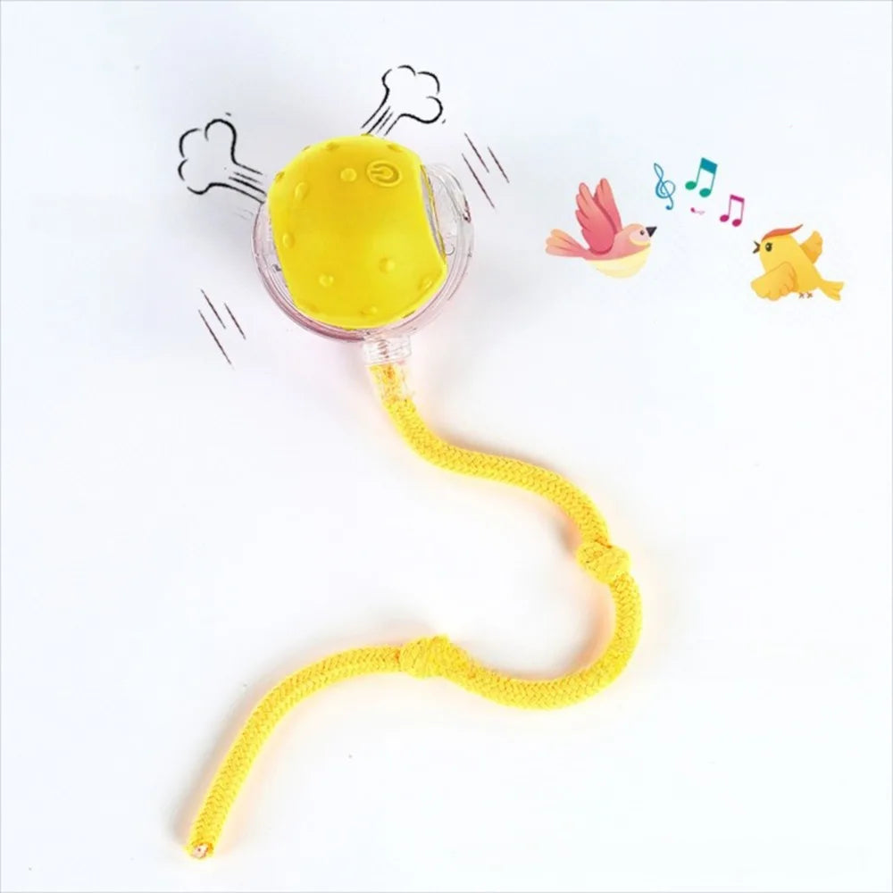 Interactive Rolling Cat Toy with Bird Sounds and Three Play Modes
