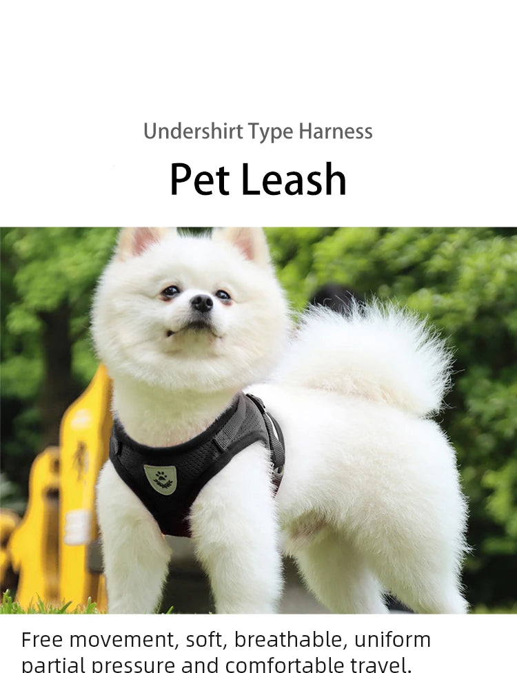 Reflektierendes Mesh-Hundegeschirr mit Leine
