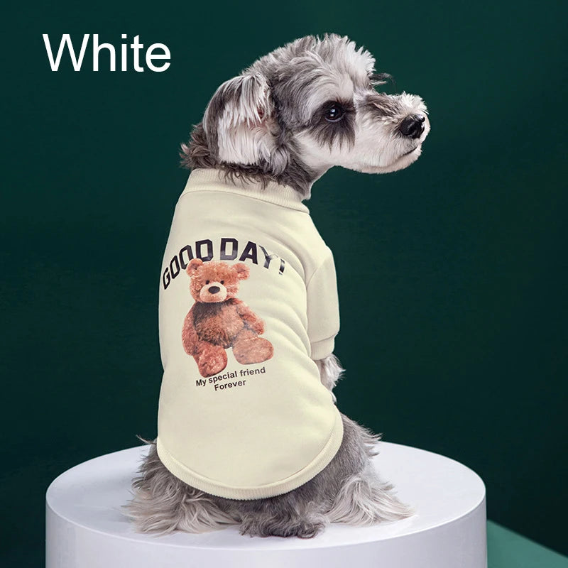 Chaqueta de Oso de Dibujos Animados para Mascotas