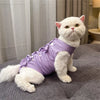 A white cat wearing a purple adjustable post-operative recovery vest, sitting on a gray fabric.