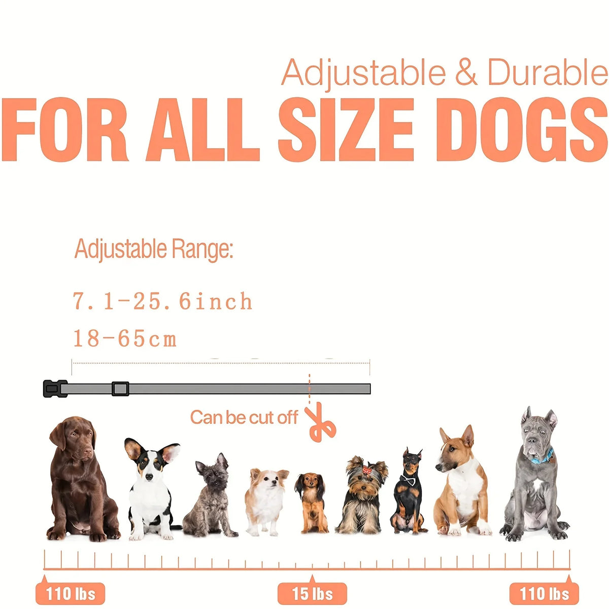 Rechargeable Dog Training Collar with Remote, Vibration, and Light