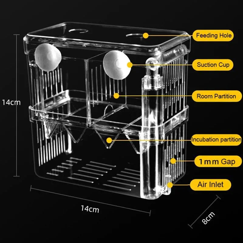 Acrylic Fish Breeding Isolation Box with Double Compartments