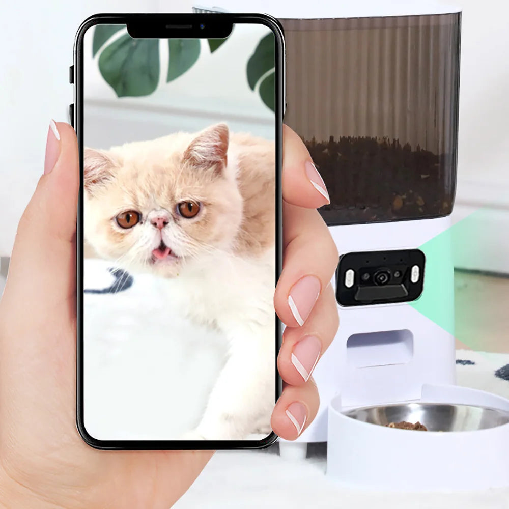 Una mano sostiene un smartphone que muestra un gato naranja peludo, junto a un dispensador de mascotas inteligente blanco.