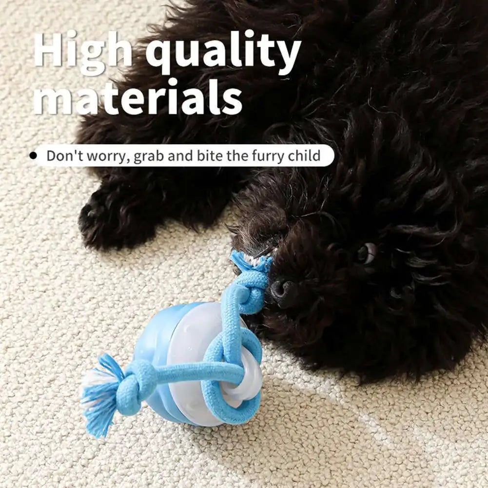 Interactive Rolling Dog Ball with Motion Sensor and Rope