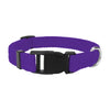 Purple nylon dog collar with a black quick-release buckle and silver hardware.