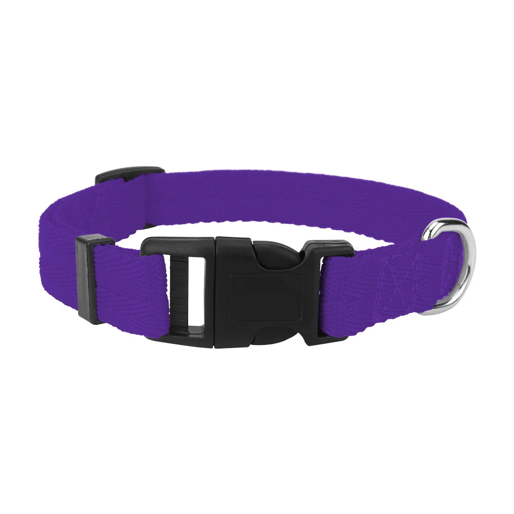 Purple nylon dog collar with a black quick-release buckle and silver hardware.