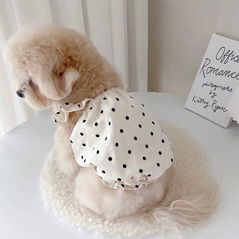 Polka Dot Summer Dog Dress with Suspender Straps