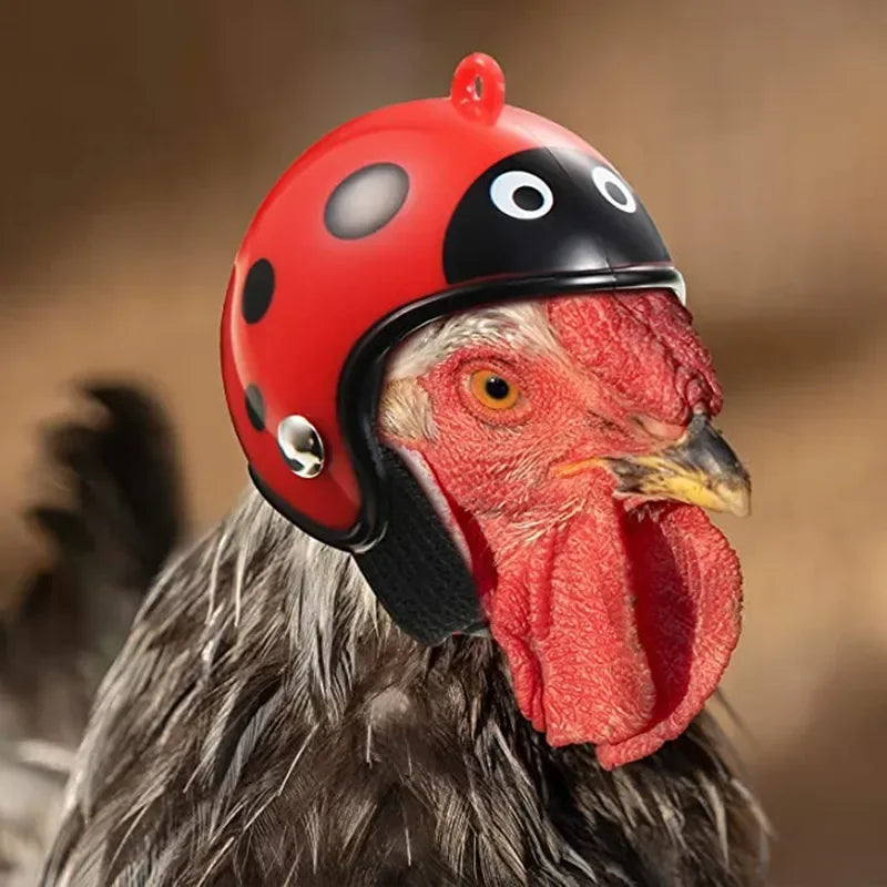 Adjustable Protective Helmet for Chickens and Poultry