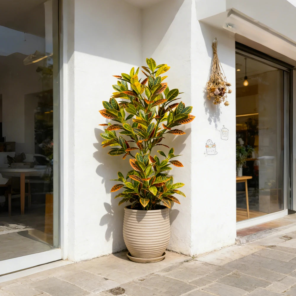 An artificial croton tree with vibrant yellow and green tropical leaves potted in a beige ceramic planter