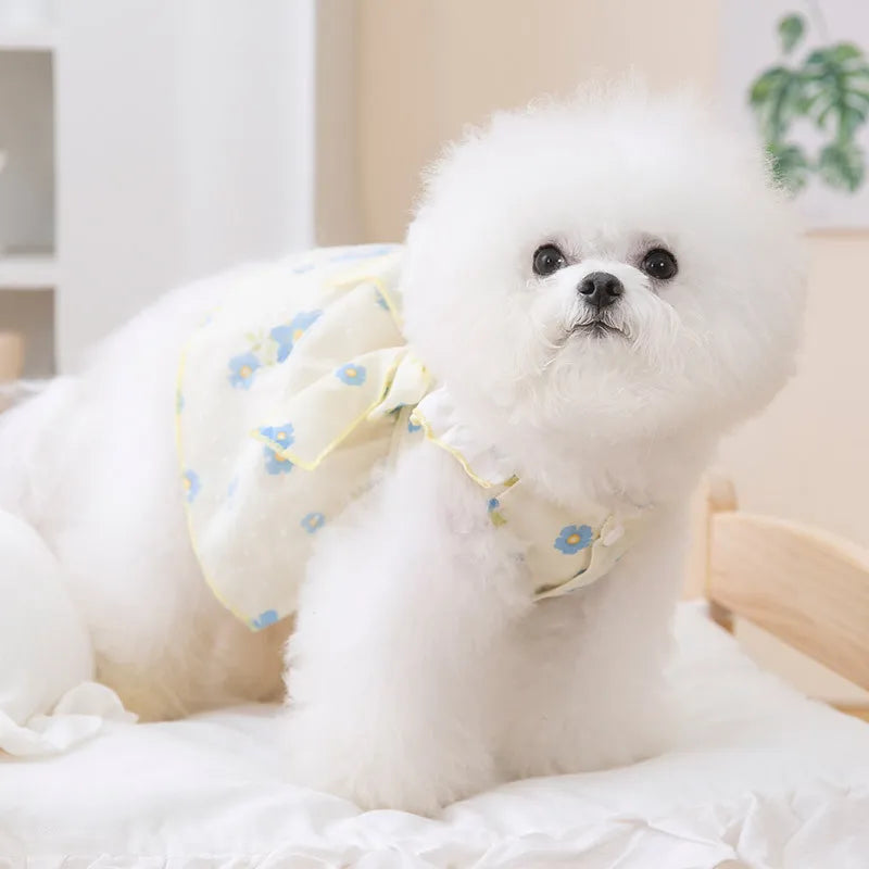 Princess Mesh Dog Dress with Bow Lace Trim