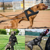 Three images showing a dog wearing an adjustable weight pulling training harness in various poses and contexts.