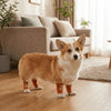 Dog Knee Pads with Elastic Leg Covers for Joint Protection