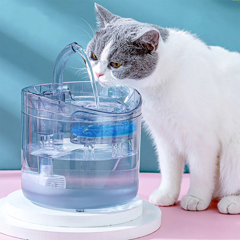 A white cat is drinking water from a motion-activated pet water fountain with a filter.