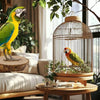 Natural Wood Forked Bird Perch for Small Parrots