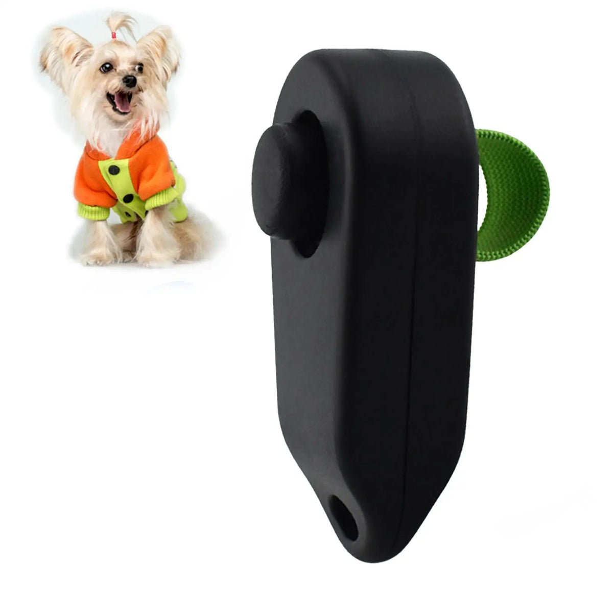 Un dispositif de déclencheur pour chien portable noir à côté d'un petit chien duveteux portant un collier orange et vert.