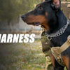 Tactical Dog Harness with Reflective Strips for Training and Outdoor Adventures
